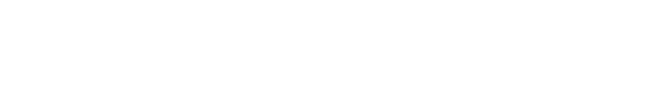 Microbid Slots